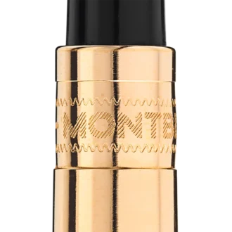 Convertisseur à piston StarWalker