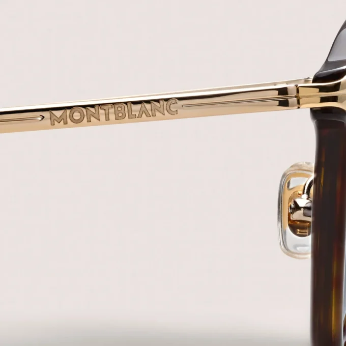 Lunettes de soleil rondes avec monture en acétate havane