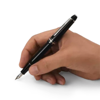 Stylo plume Meisterstück Classique plaqué platine (F)